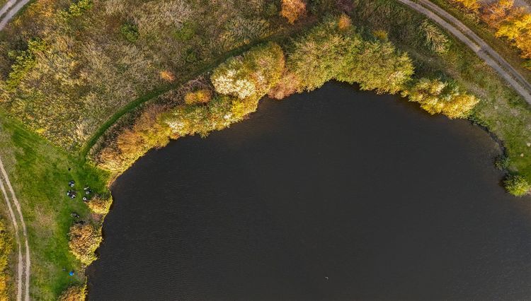 Łowisko Siedlnica - październik 2024