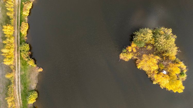 Łowisko Siedlnica - październik 2024