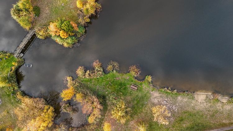 Łowisko Siedlnica - październik 2024