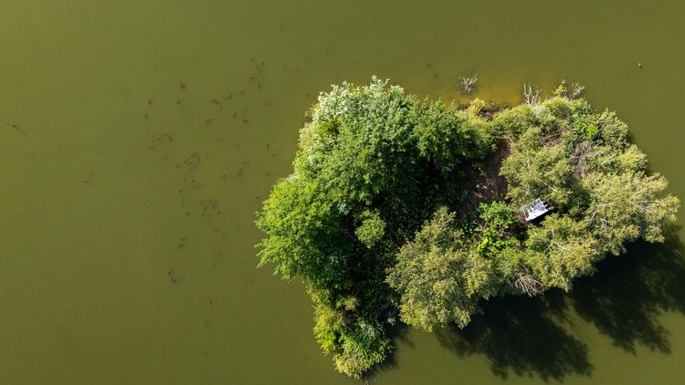 Łowisko Siedlnica - czerwiec 2024
