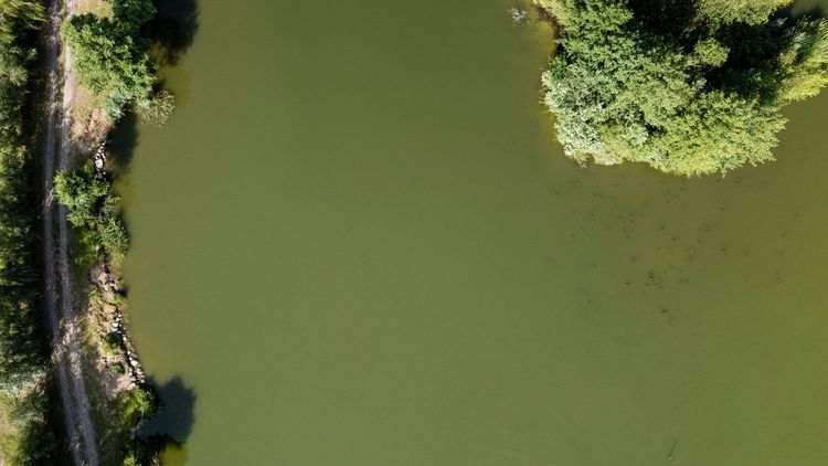 Łowisko Siedlnica - czerwiec 2024