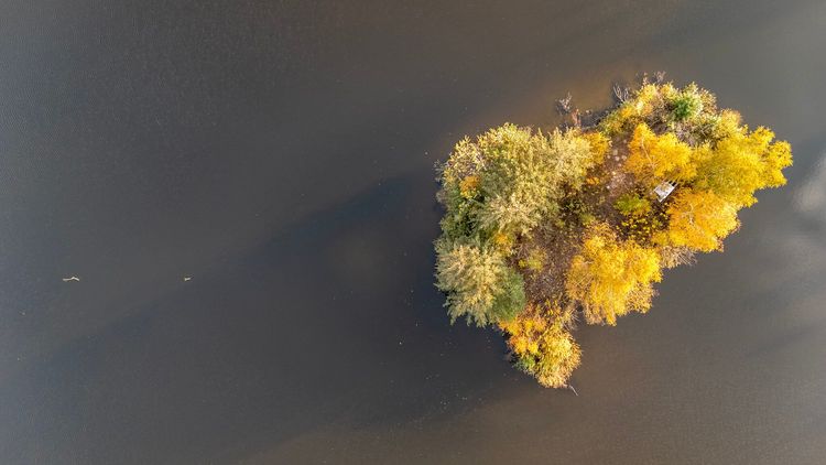 Łowisko Siedlnica - październik 2024