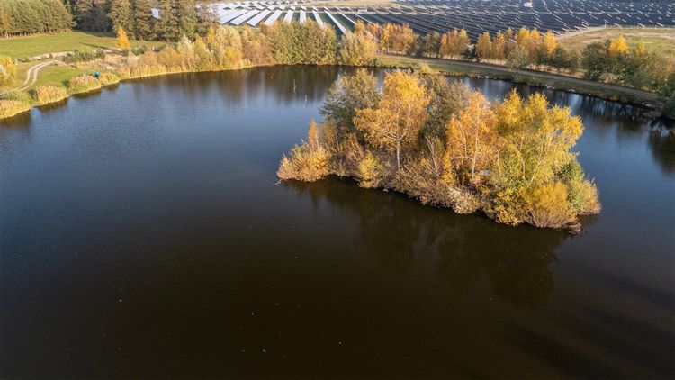 Łowisko Siedlnica - październik 2024