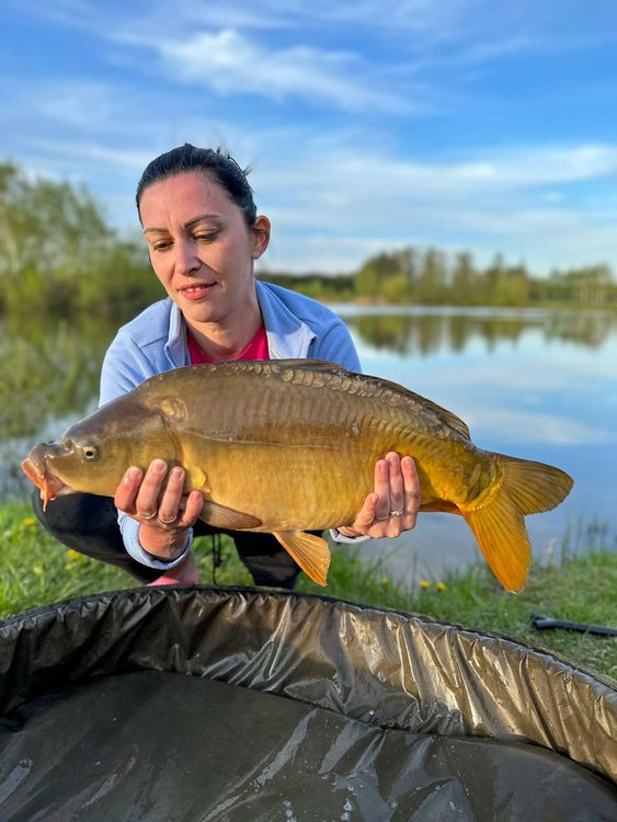 Łowisko Siedlnica - Karp
