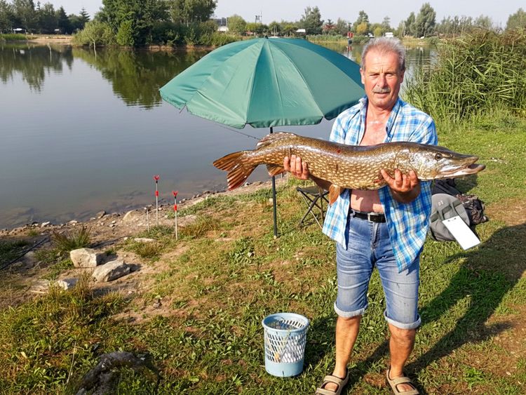 Łowisko Siedlnica - Szczupak