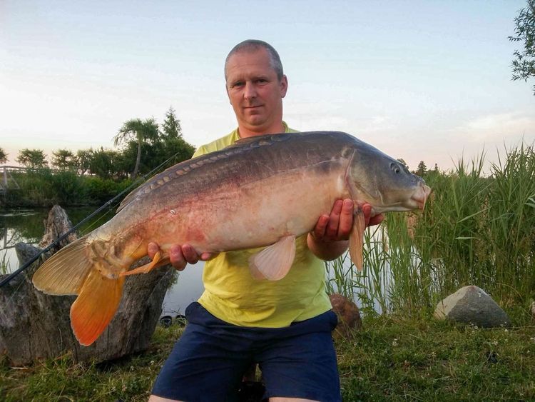 Łowisko Siedlnica - Karp