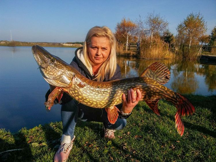 Łowisko Siedlnica - Szczupak